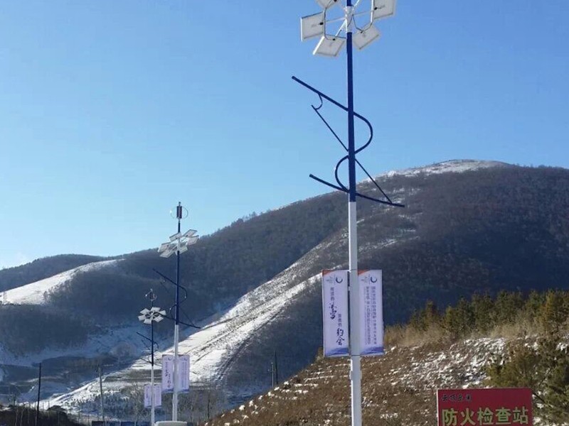 張家口331套風(fēng)光互補路燈照明案例